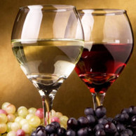 WINE & DESIGN